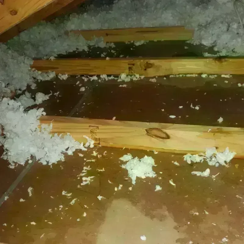 Attic Water Damage in Lino Lakes, MN